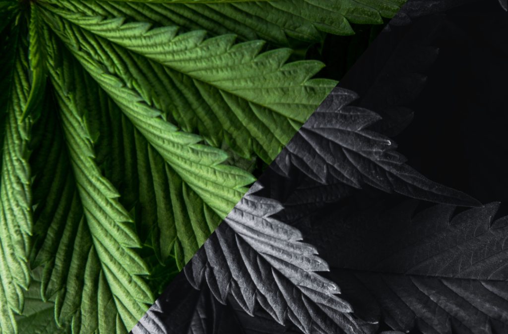 Entscheidungsmoment für Deutschland