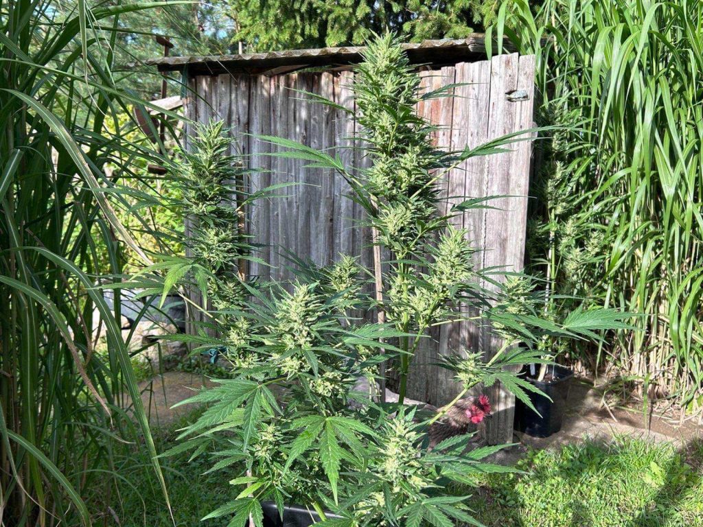 Erste virtuelle Sitzung der AG Prävention & Gesund­heits­schutz